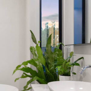 Home Birdnest Japanese